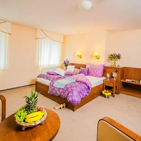 Manor House Hotel Broumov