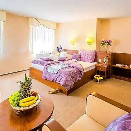 Hotel Manor House 3*