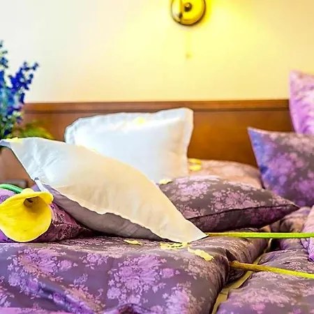 Hotel Manor House Broumov