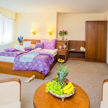 Hotel Manor House