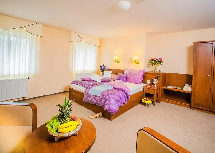 Manor House Hotel Broumov